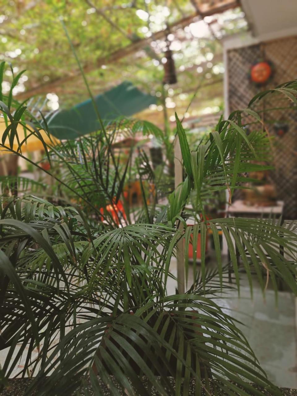 Srinekatan Heritage Villa Homestay Ahmedabad Exteriör bild