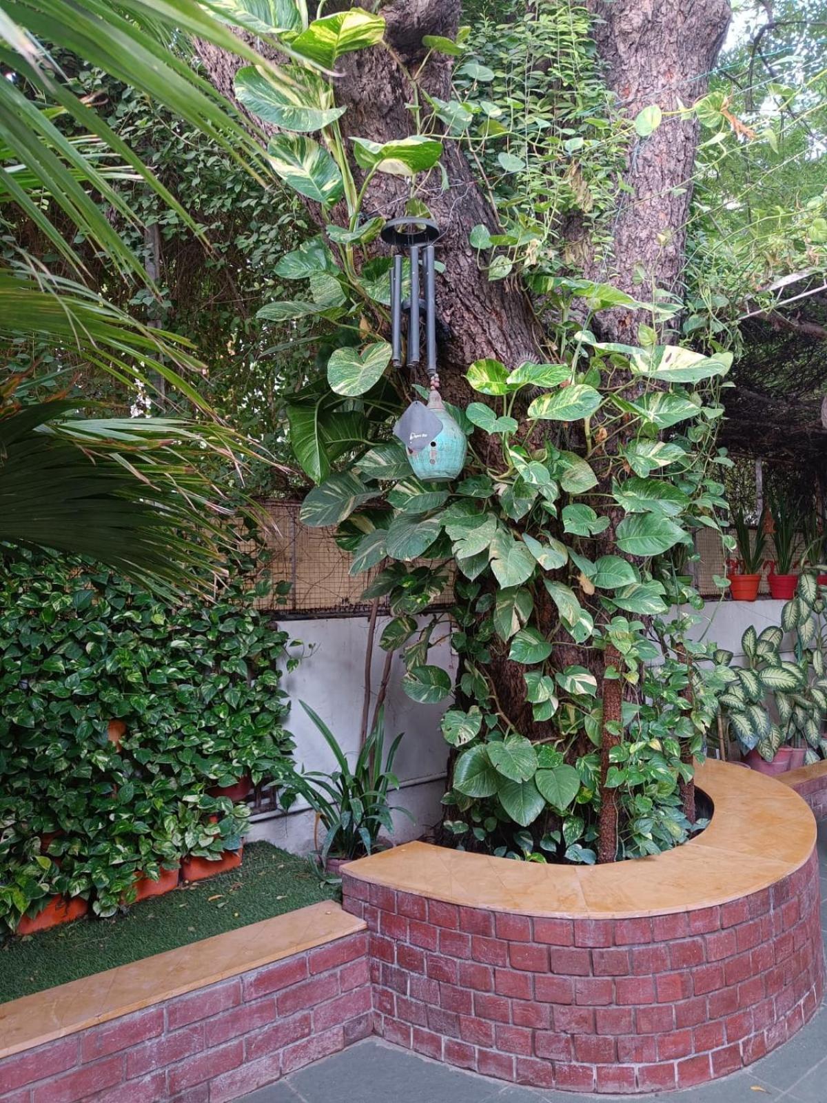 Srinekatan Heritage Villa Homestay Ahmedabad Exteriör bild